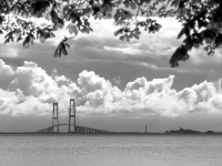 Nyborg